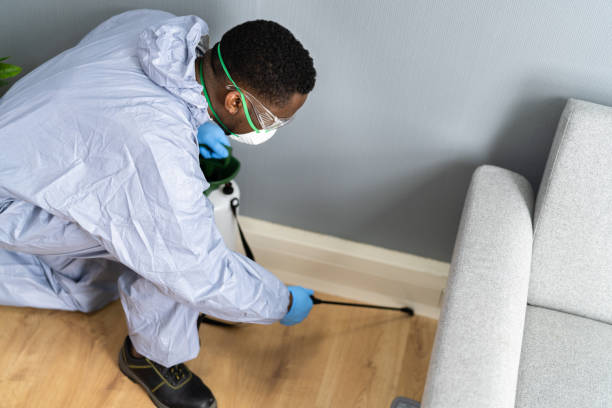 Best Pest Exclusion Services  in Leesville, LA